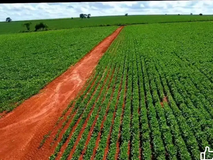 O Custo Real de Manter Estradas, Energia e Conectividade no Campodd